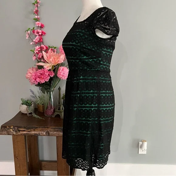 SD Collection Dess - Picture 6 of 14